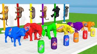 Select The Right Color Boat to Escape Game with Elephant,Buffalo,Tiger, Lion,Pepsi,CocaCola, Sprite