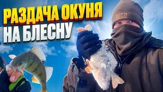 ОТЛИЧНАЯ РЫБАЛКА НА ОКУНЯ! ОКУНЬ  НА  БЛЕСНУ И БАЛАНСИР! ЖОР ОКУНЯ! GREAT BASS FISHING!