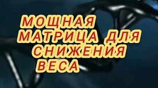 МОЩНАЯ МАТРИЦА ГАРЯЕВА для СНИЖЕНИЯ ВЕСА