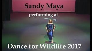 Sandy Maya performing at "Dance for wildlife" 2017