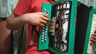 КАРА КУЗЕМӘ ГЕНӘ. Татарская песня "Яле, иркәм" на гармони + ВИДЕОУРОК.