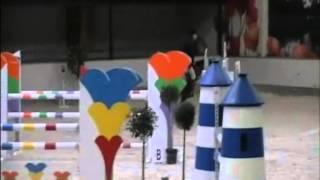 Aron `Sporthorses from Holland` FOR SALE peter bulthuis