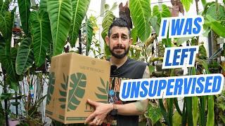 I Couldn’t Resist… 9 Stunning Houseplants You’ve Probably Never Seen (Unboxing) 