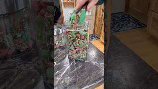 Christmas CANDY SALAD  #candysalad #holidayseason #justthebells10