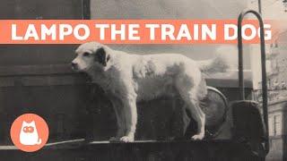 LAMPO - The Rail Traveling Dog 