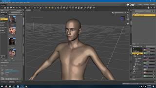 High Poly Daz3D Exports with Morphs - Workaround Part 1