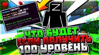 ЧТО БУДЕТ ЕСЛИ ПОЛУЧИТЬ 100 УРОВЕНЬ БЕЗ ДОНАТА НА VimeWorld?