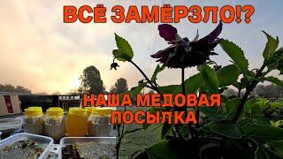 Что происходит? Мы замерзаем! Подполье работает, до весны нам хватит! Жизнь в деревне.