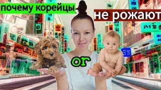 Собачки вместо детей- почему? Влог-болталка ^^