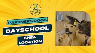 Partners Dogs DaySchool - Shea Location