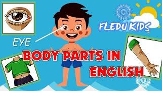 Parts of the Body. Educational Video. FLEDU KIDS