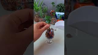 #Home Gardening The lotus leaf #balconyPlanting #LoveLifeLoveGrowingFlowers# copper money grass