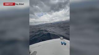 7th Lake Tahoe drowning victim found