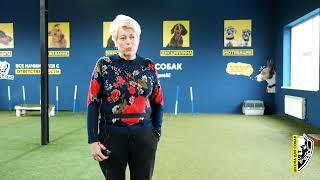 Отзыв о дрессировке | Немецкая Овчарка Герда | Школа для собак DRED | Дрессировка собак Украина