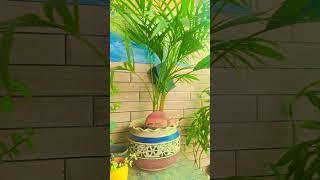 #voice #funny #ytshorts #yt #nature #garden #comedy #fun #viralshort #comedyvideos