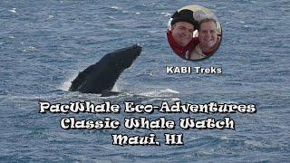 PacWhale Eco-Adventure, Classic Whale Watching - Maui, HI