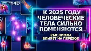 К 2025 ГОДУ ЧЕЛОВЕЧЕСКИЕ ТЕЛА СИЛЬНО ПОМЕНЯЮТСЯ/ КАК ЛИМФА ВЛИЯЕТ НА ПЕРЕХОД