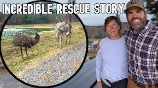 You Won’t Believe Who Came to Save the Emu & Donkey, & How 1 Man Didn't Give Up!