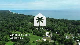 Looking to Buy Land in Costa Rica? Discover This Amazing Property Near Black Beach!