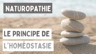 LE PRINCIPE DE L'HOMÉOSTASIE EN NATUROPATHIE 