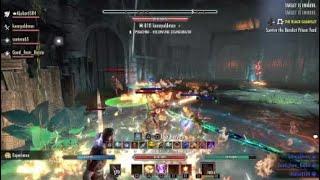 ESO-blackrose prison 1 arena tank pov