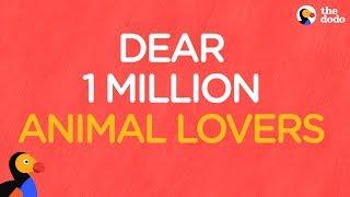 Dear 1 Million Animal Lovers: Thank You From The Dodo