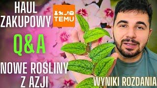 Roślinny VLOG  Haul zakupowy z TEMU  Q&A  WYNIKI ROZDANIA ️