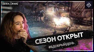 Сезон открыт | #бдобрыйдень № 12 | Black Desert моменты