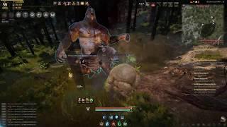 BDO[NA] - Ogre rotation Mansha Forest (TEST)