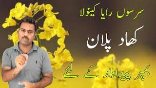 Fertilizers plan for mustard (Raya) crop | Balanced fertilizers for canola crop | Abid Ali Agrarian