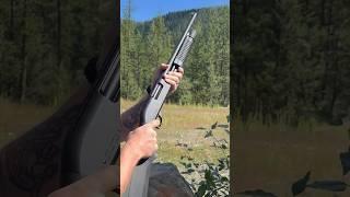 Federal Premium 00 Buck Flight Control Demo 50 Yards