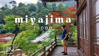 Exploring Miyajima in a Day, Hiroshima Japan, Iconic Floating Gate, Temples, Tranquility, vlog