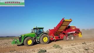 Grimme EVO 290 Harvester