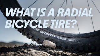 The Radial Technology - What's The Story behind The New Albert & Shredda?