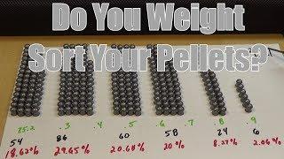 Umarex Gauntlet .25 Pellet Rifle Should You Weight Sort Your Pellets