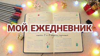 МОЙ ЕЖЕДНЕВНИК |ЦЕЛИ НА ГОД| ПЛАНИРОВАНИЕ НЕДЕЛИ| Оформление ежедневника на январь | bullet journal