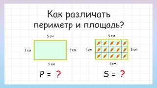 Как различать периметр и площадь?