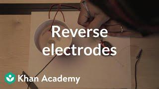 Reverse electrodes (polarity) | Discoveries and projects | Physics | Khan Academy