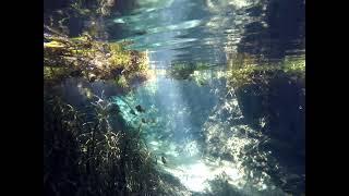 Florida Springs Underwater