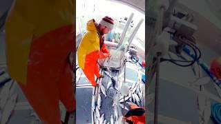 Commercial Fishing Bristol Bay | Gillnetting Sockeye Salmon #alaska #salmon #boat