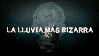 La Lluvia Bizarra | Dross