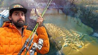 This Raging BROKEN SPILLWAY Was STACKED! Then The RIVER MONSTER Showed Up! (Catch Clean Cook)