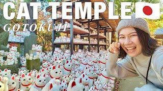 TOKYO 7 things to do around Gotokuji (Lucky cat temple) Autumn Leaves in Tokyo Japan travel vlog