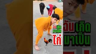 ฉันเกิดมาเป็นไก่  ป๊อก ป๊อก ป๊อก กะ ต๊อก   #คลิปตลก #ideanity  #funny