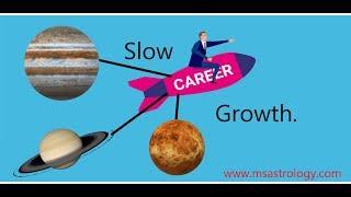 Breaks / Slow growth in career. MS Astrology - Vedic Astrology in Telugu Series.