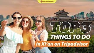 Xian Highlights Day Tour - Top 3 things to do in Xian on Tripadvisor