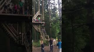 Brother buddies Dexter at Ambleside GoApe, massive zip line