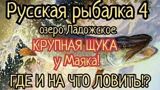 РР4. Ладожское озеро. Щука у Маяка. Шанс на трофей ЕСТЬ. Где и на что ловить!?