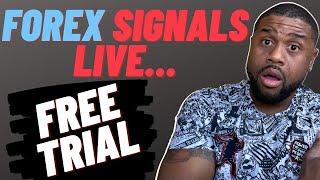 Forex Trading Signals Live Call Setups: FREE TRIAL
