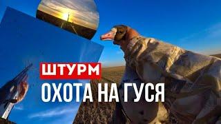 ОХОТА НА ГУСЯ 2024. ОХОТА УДАЛАСЬ. ЕЛЕ УНЕСЛИ НОГИ.. ОХОТА. 2024г!!!